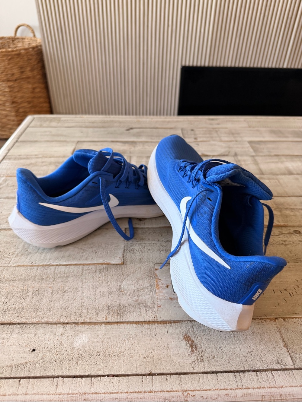 Nike zoom pegasus